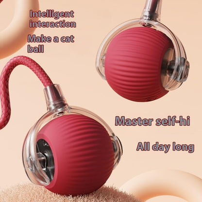 ZEEJAY Interactive Smart Cat Ball Toy