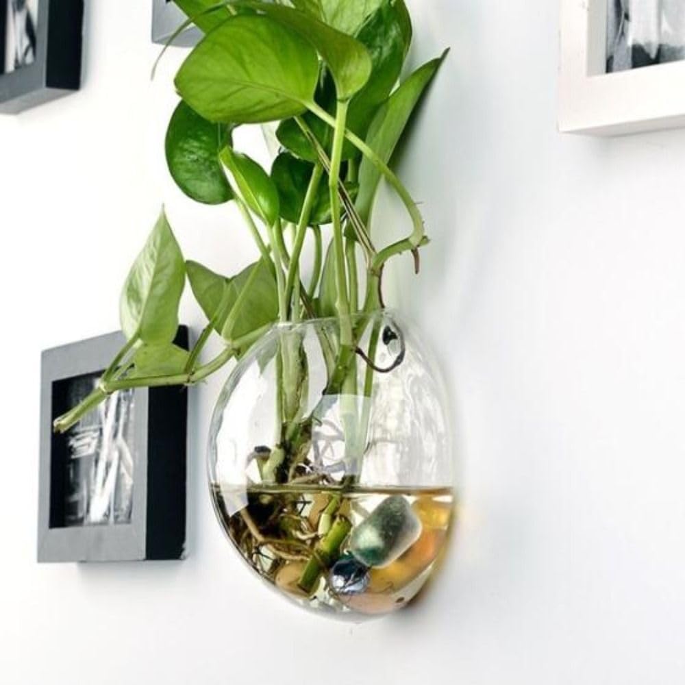 Glass Wall Hanging Planter Terrarium Semi-Circular Vase 13cm for Air Plants