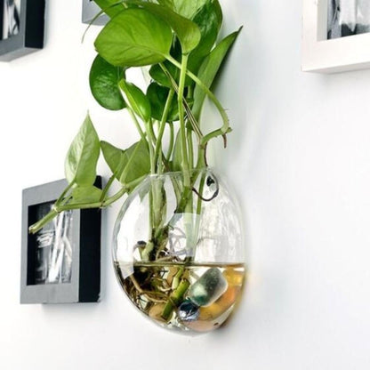 Glass Wall Hanging Planter Terrarium Semi-Circular Vase 13cm for Air Plants
