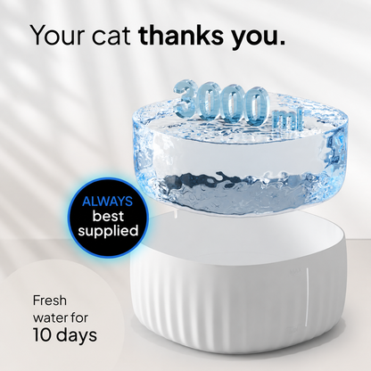 PrettyPaw Aqua Flow Cat Water Fountain 3L BPA-Free with LED and Carbon Filter