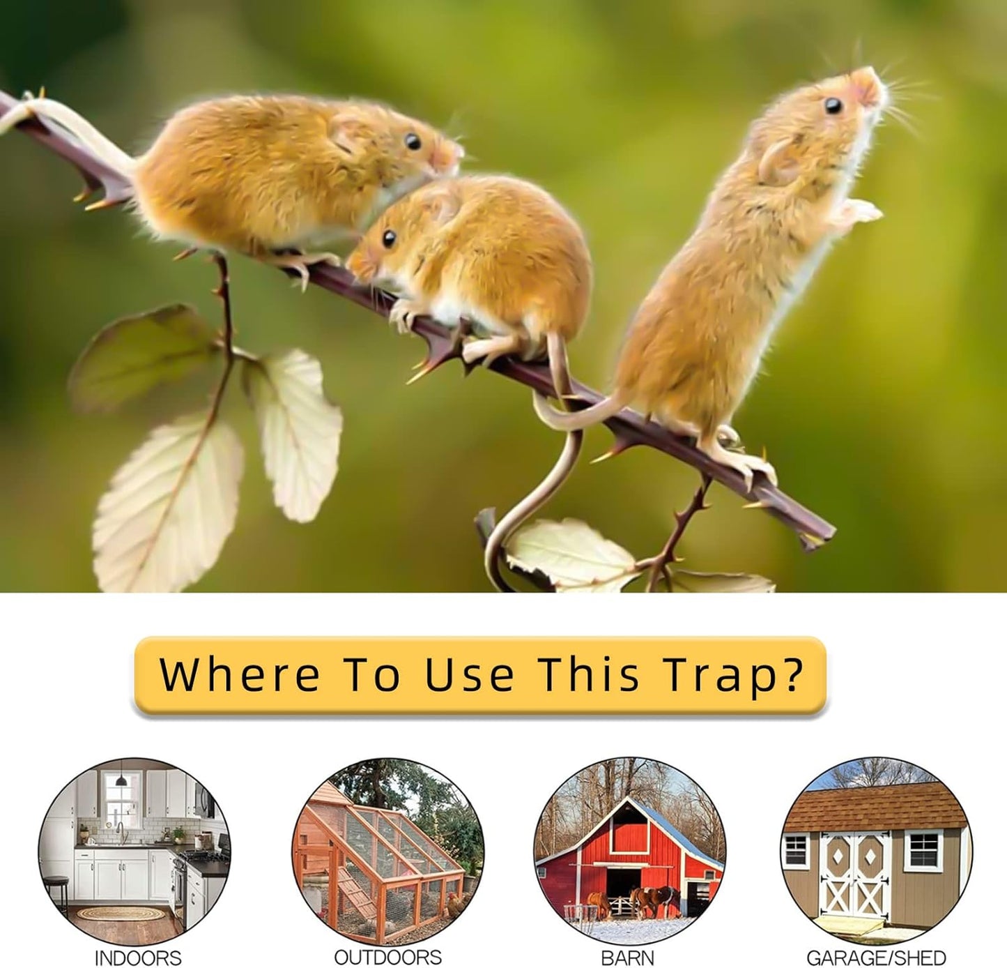 Foldable Mouse Trap with Automatic Reset Bucket Lid – 30 Catch