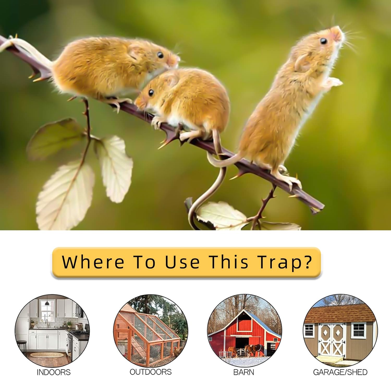 Foldable Mouse Trap with Automatic Reset Bucket Lid – 30 Catch