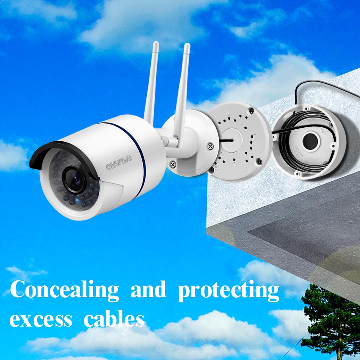 https://m.media-amazon.com/images/I/710ZC9dQSqL._SL1200_.jpg