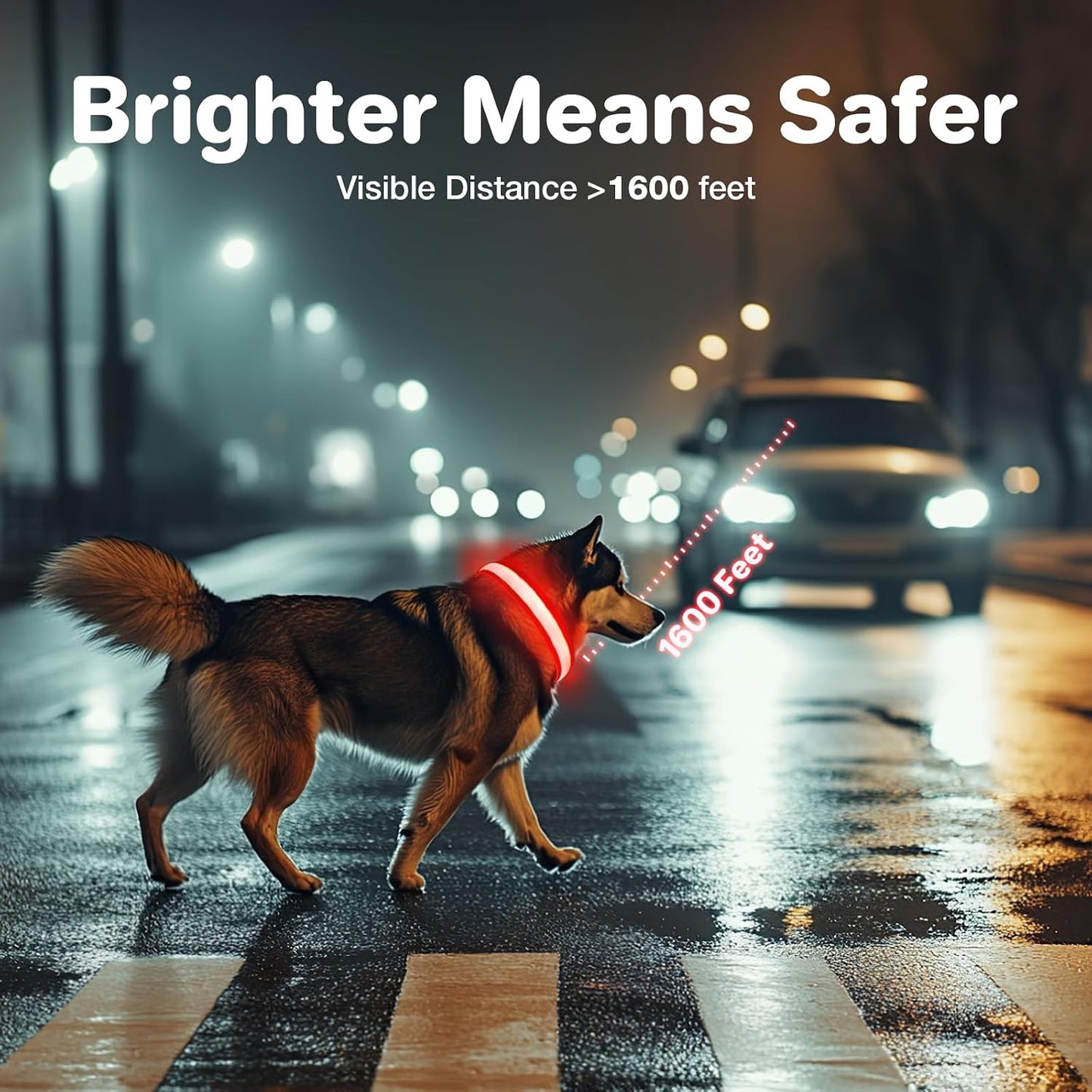MASBRILL Rechargeable Security LED Pet Collar