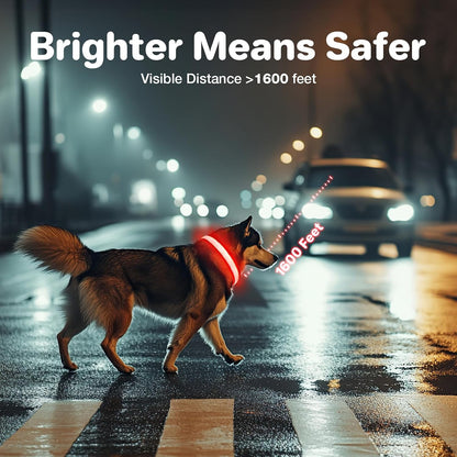 MASBRILL Rechargeable Security LED Pet Collar