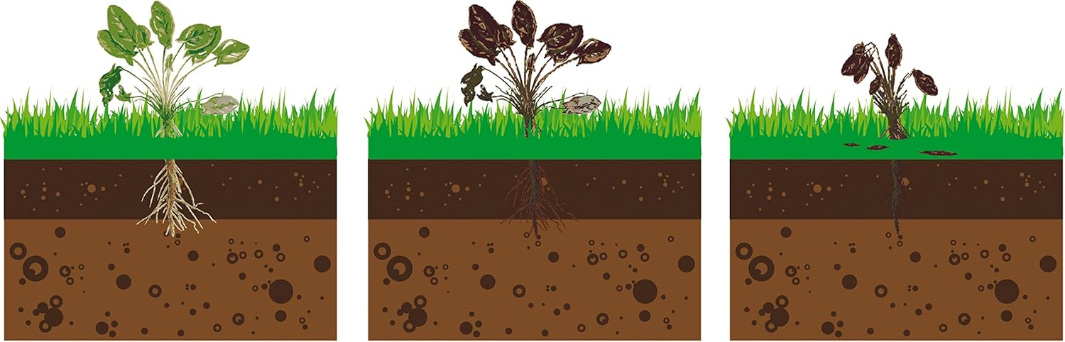 Fartools DT2000B Thermal Weeder - Environmentally Friendly Weed Control