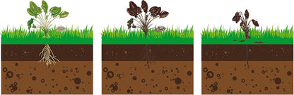 Fartools DT2000B Thermal Weeder - Environmentally Friendly Weed Control