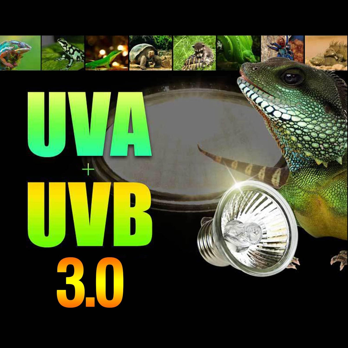BraceTek 50W UVA UVB Reptile Heat Lamp Bulbs 4 Pack