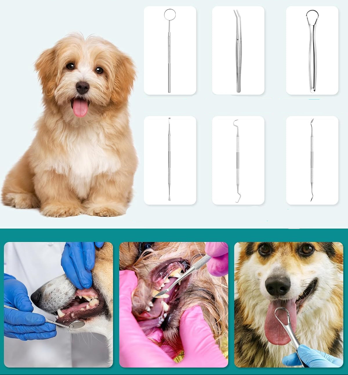 Petbank Ultrasonic Pet Teeth Cleaner for Dogs and Cats 5 Modes 4 Heads