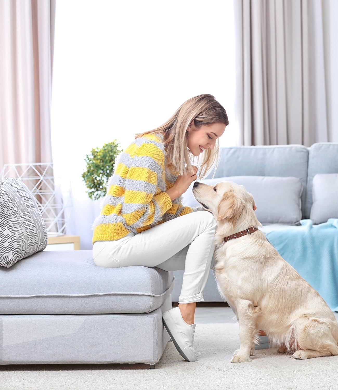 Transparent Cat Sofa Guard Film 6m x 30cm Anti‑Scratch Protector