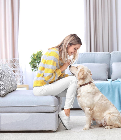 Transparent Cat Sofa Guard Film 6m x 30cm Anti‑Scratch Protector