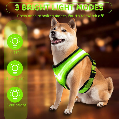 Fancysky Luminous Rechargeable LED Dog Harness for Enhanced Night Safety