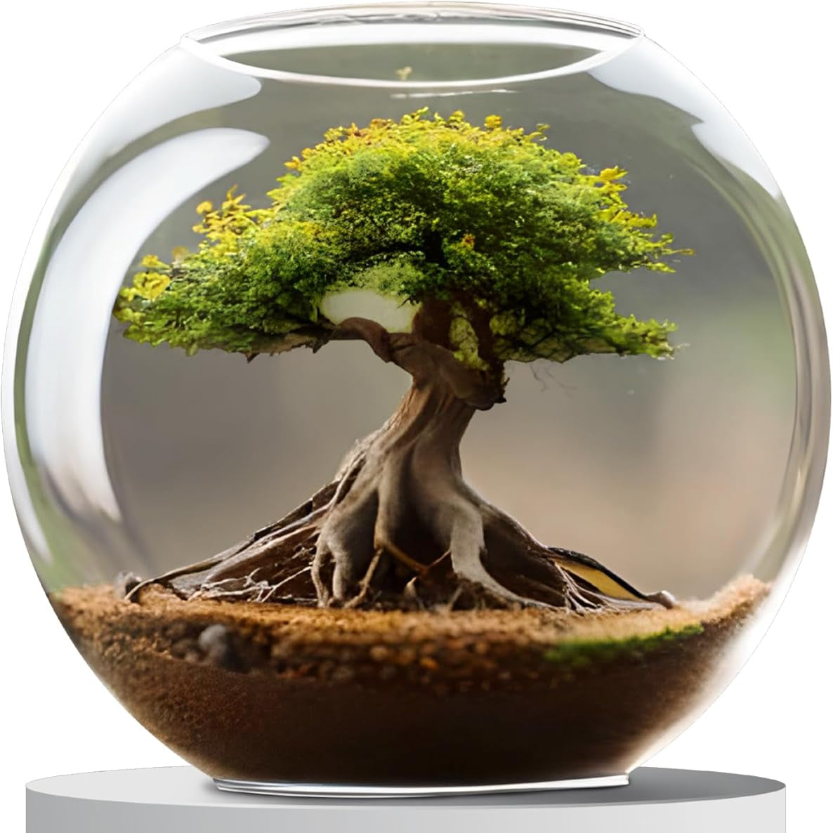 Amtra Crystal Globe 30cm Transparent Fishbowl – 10L Hand‑Blown Glass Aquarium