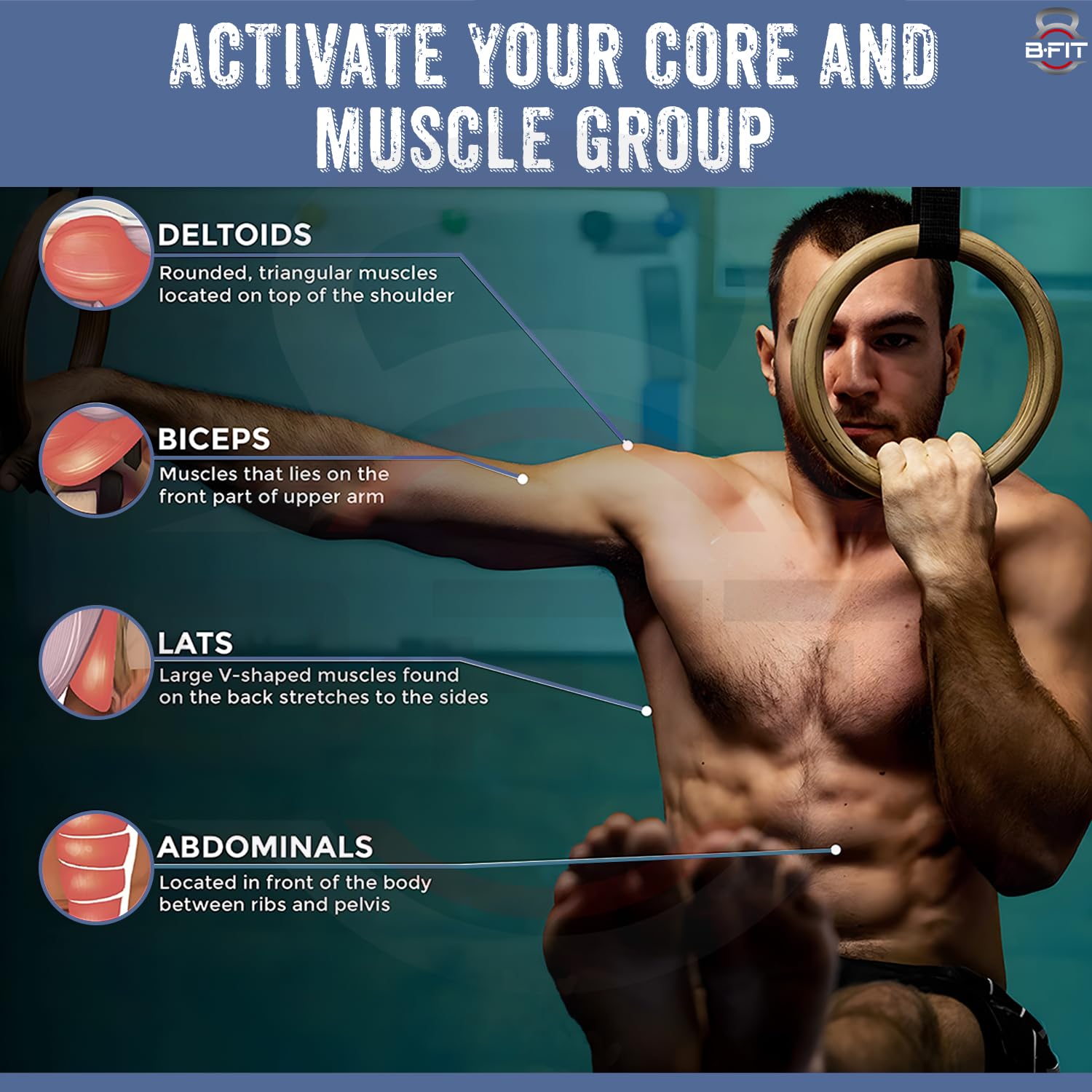 B Fit Wooden Gymnastic Rings with Heavy-Duty Adjustable Straps