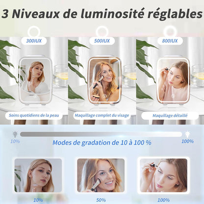 YASHE Portable Mini Skincare Fridge with LED Mirror 4L