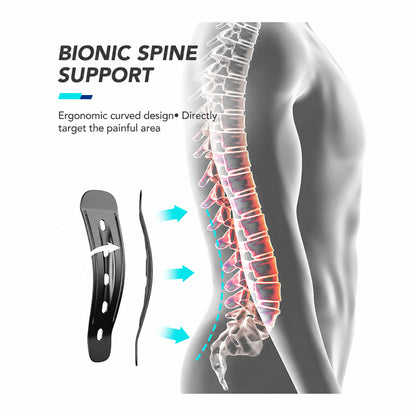 Fitomo BR6B Ergonomic Back Support Belt