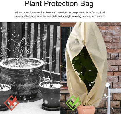 https://m.media-amazon.com/images/I/71FlUwqz-IL._AC_SL1024_.jpg