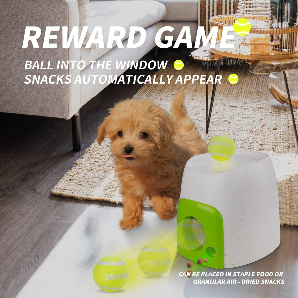 ALL FOR PAWS Interactive Fetch N Treat Dog Toy