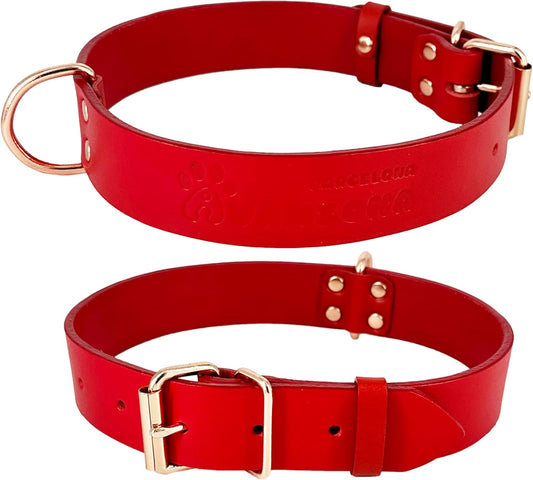 Premium Soft Leather Dog Collar for Small to Large Dogs