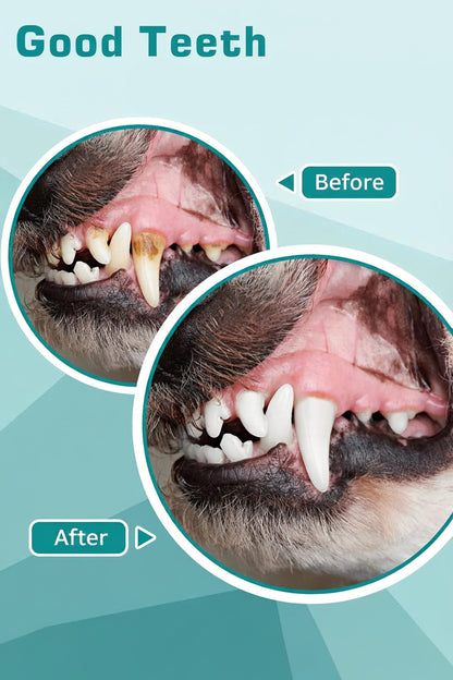Petbank Ultrasonic Pet Teeth Cleaner for Dogs and Cats 5 Modes 4 Heads