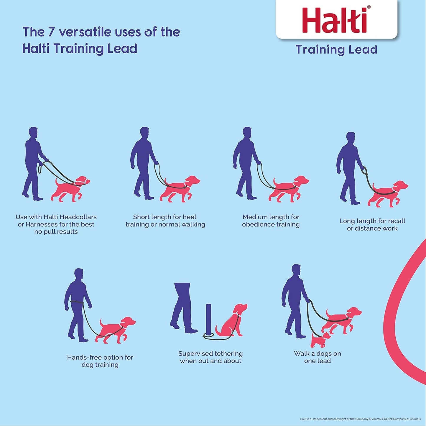 HALTI Multifunctional Dog Training Leash: Lightweight, Neoprene Padded, Puppy Safe