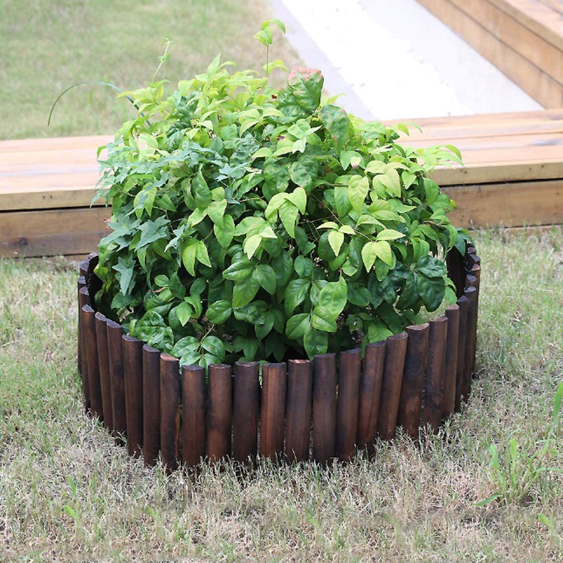 Worth 6-Pc Burnt Wood Garden Edging 11.8" x 42"