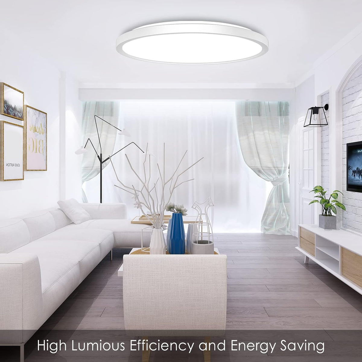 CheDux EVS-CMT-M-24W RGB Dimmable Flush Mount Ceiling Light 30.5cm 24W