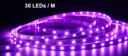 Diyife LED Strip 3 m 90 LEDs Remote & App Control RGB Bluetooth Music Sync Timer Indoor