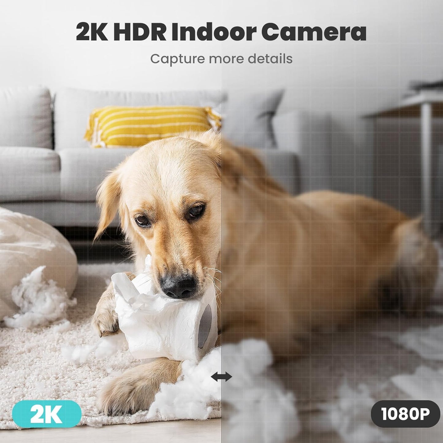 https://m.media-amazon.com/images/I/71StOxSL2HL._AC_SL1500_.jpg