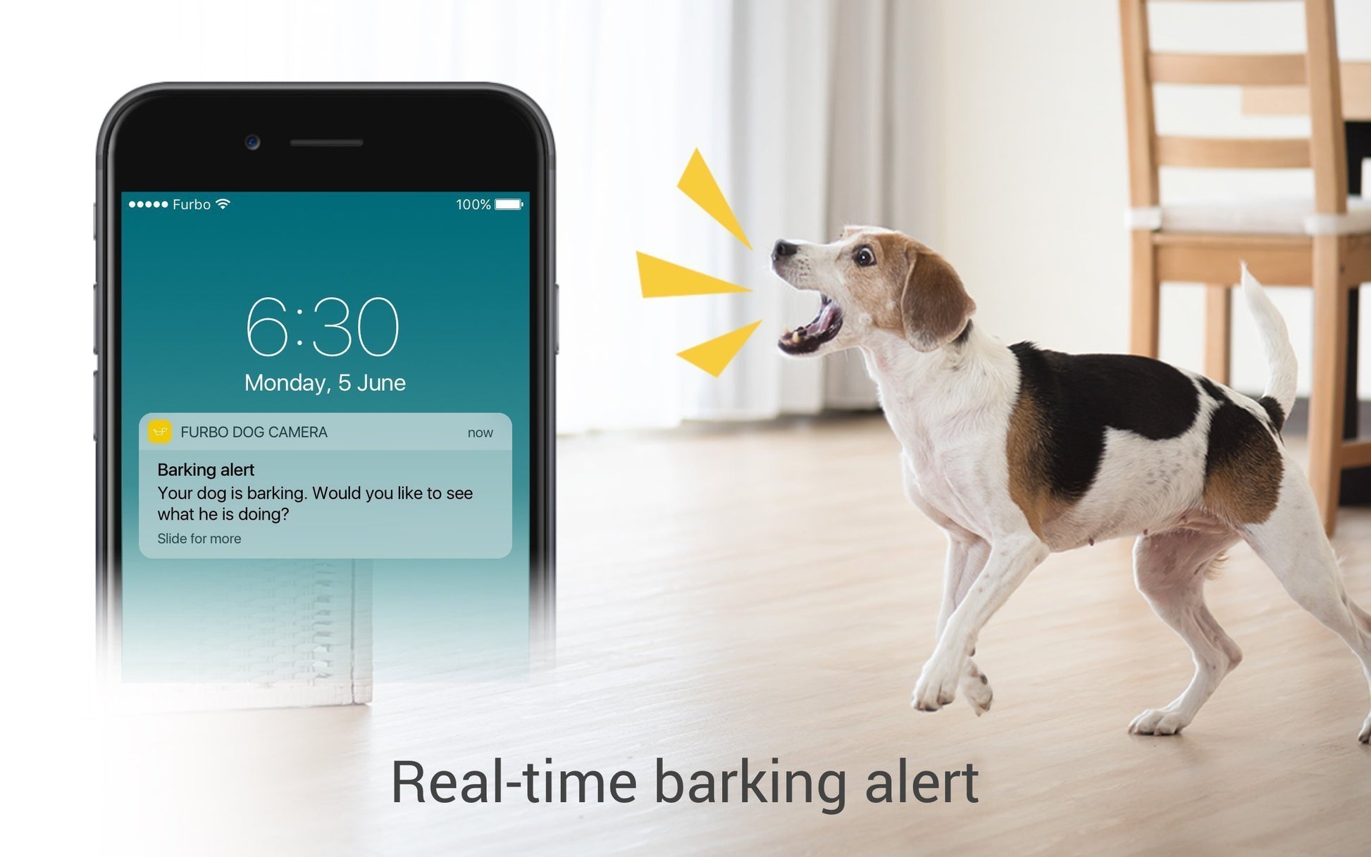 Furbo Full HD WiFi Pet Camera with Treat Tossing and Two-Way Audio