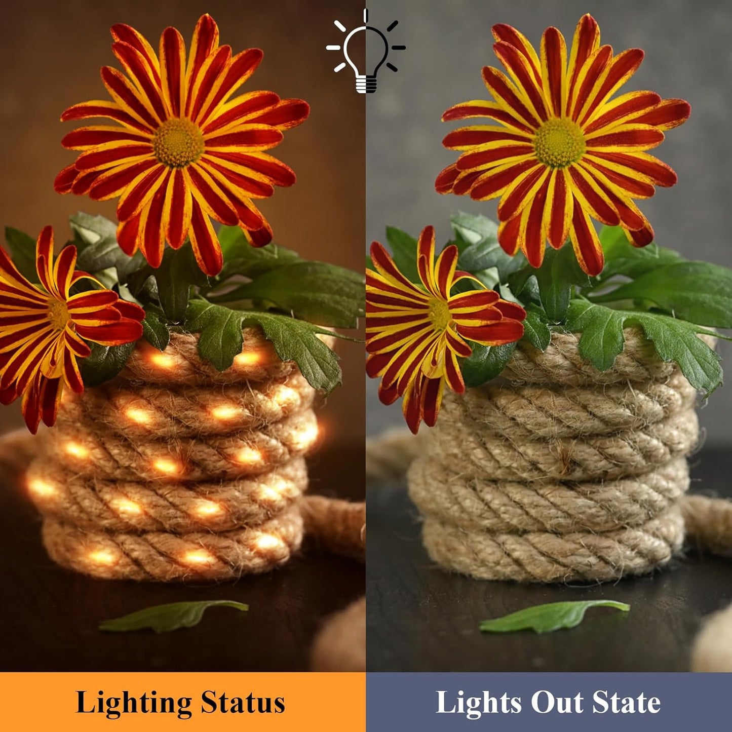 Litinliv 3m LED Hemp Rope Fairy Lights, 60 LEDs Remote