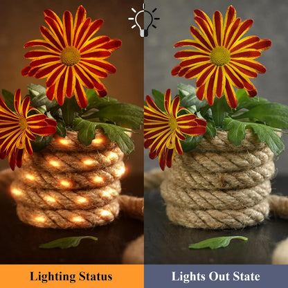 Litinliv 3m LED Hemp Rope Fairy Lights, 60 LEDs Remote