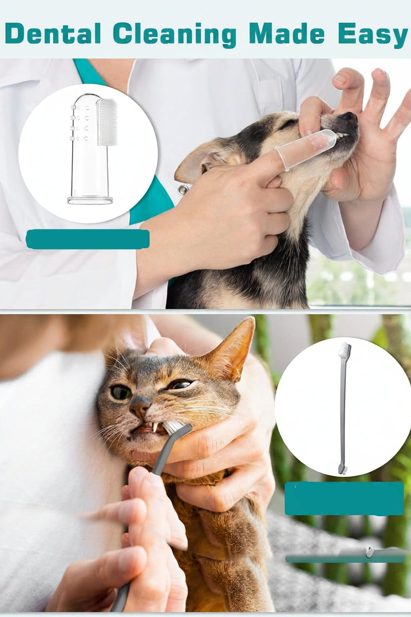 Petbank Ultrasonic Pet Teeth Cleaner for Dogs and Cats 5 Modes 4 Heads