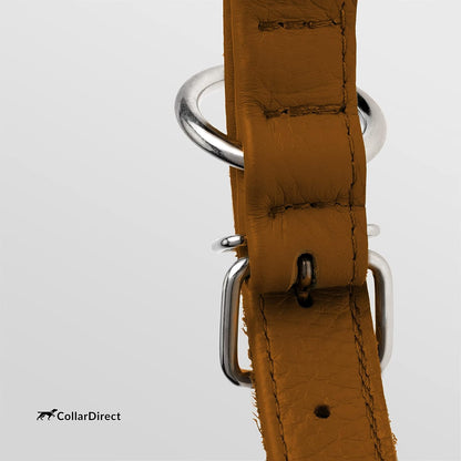 Durable Rolled Leather Dog Collar for Small, Medium, and Large Breeds