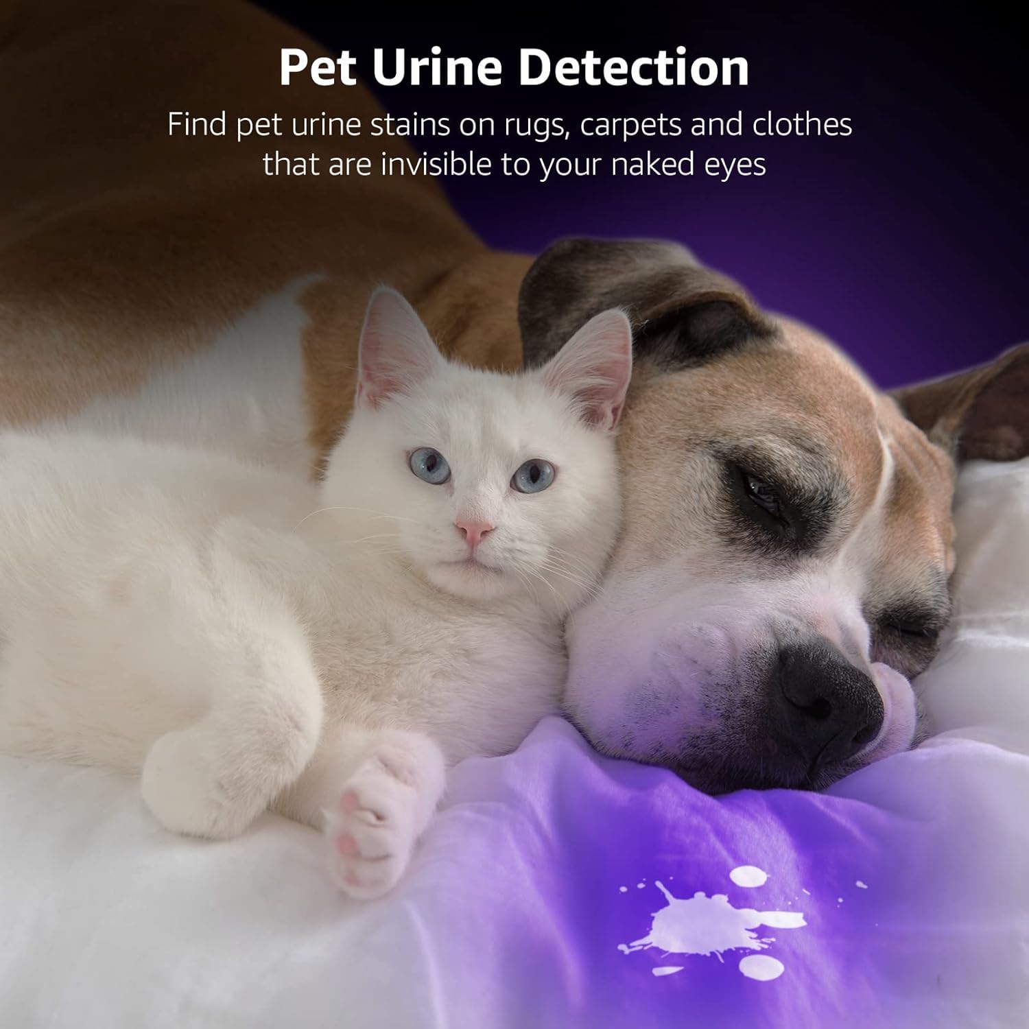 Lepro 51-LED UV Flashlight – Portable Blacklight for Pet Urine Detection