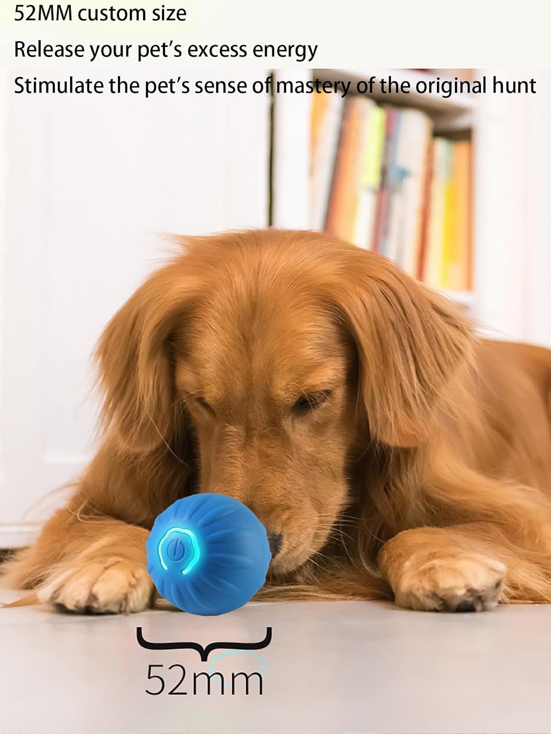 Winb Interactive LED Dog Ball – USB Rechargeable Motion‑Activated Rolling Toy for Small Dogs