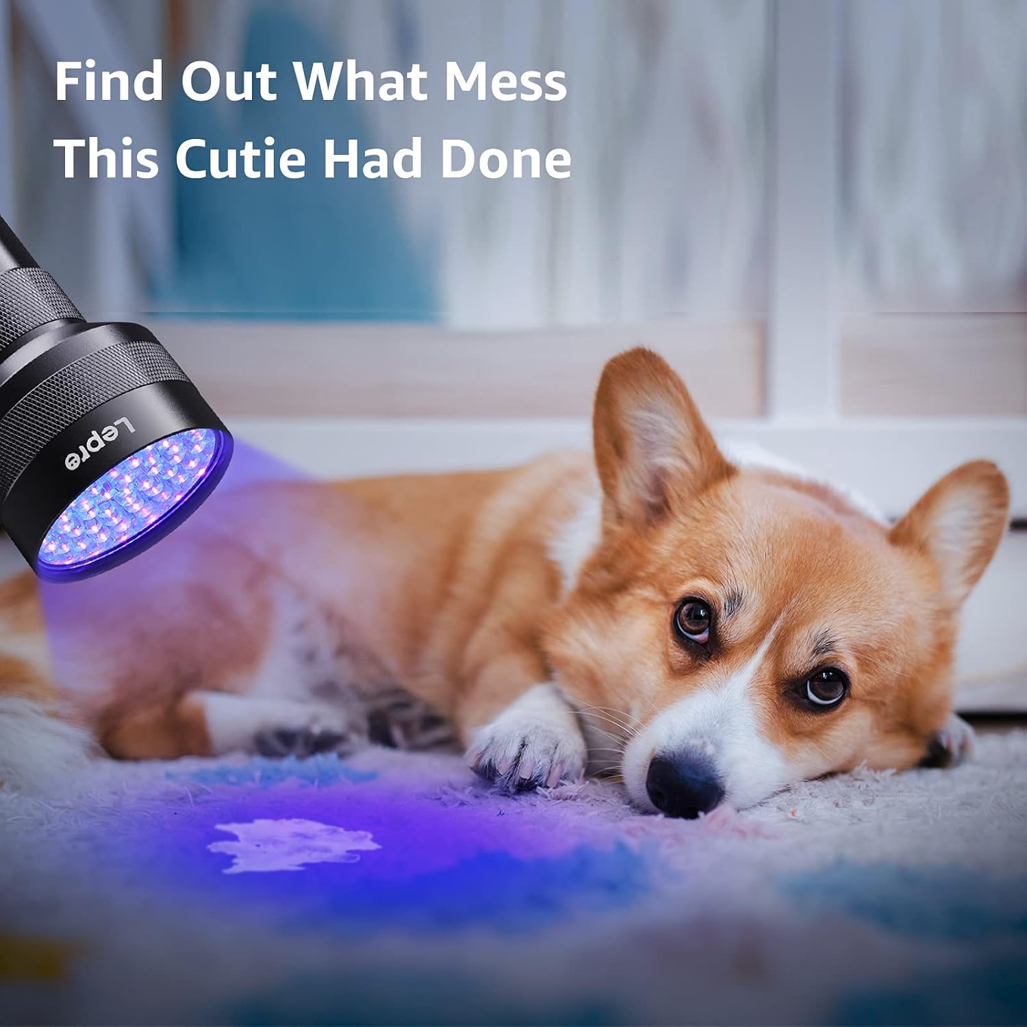 Lepro 51-LED UV Flashlight – Portable Blacklight for Pet Urine Detection