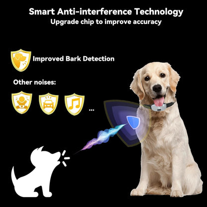 https://m.media-amazon.com/images/I/71hfc39Q0qL._AC_SL1500_.jpg