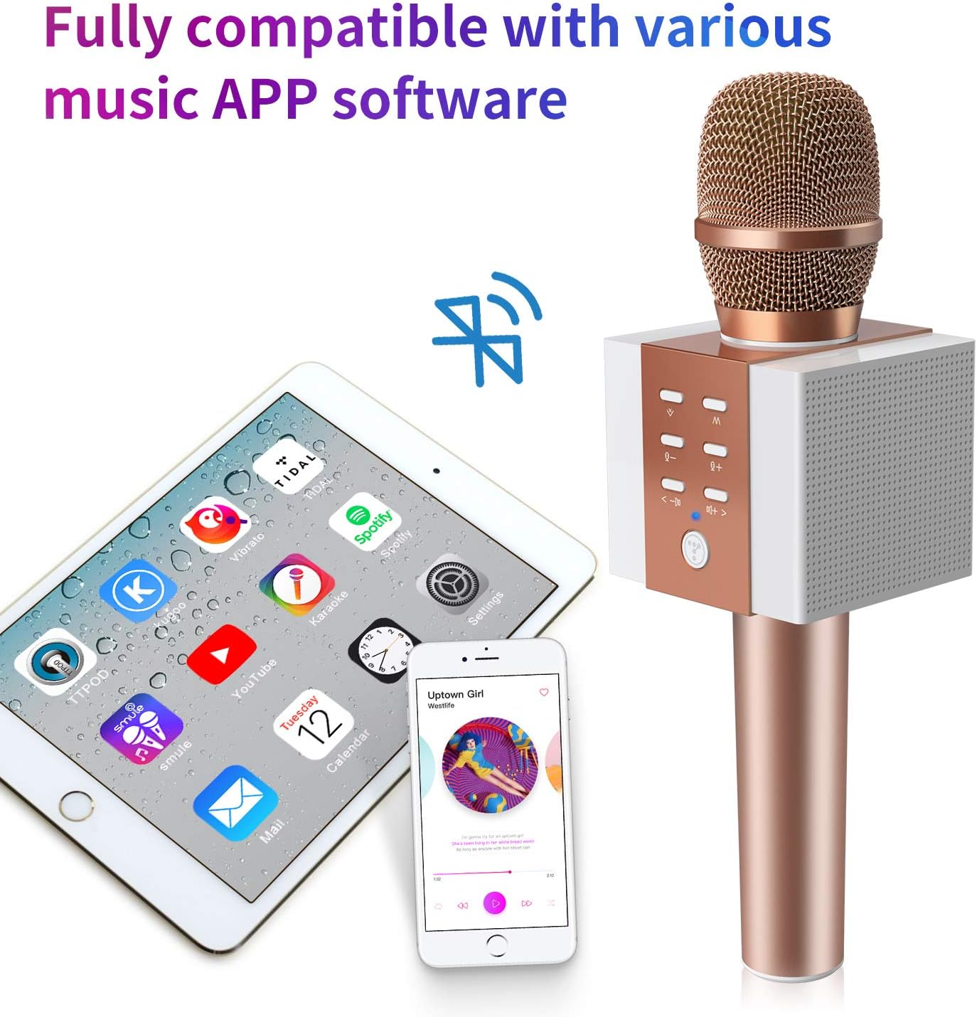 TOSING 008 Wireless Bluetooth Karaoke Mic with 10W Stereo Speakers