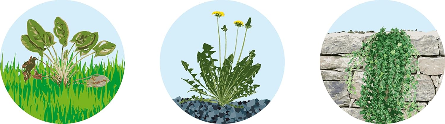 Fartools DT2000B Thermal Weeder - Environmentally Friendly Weed Control