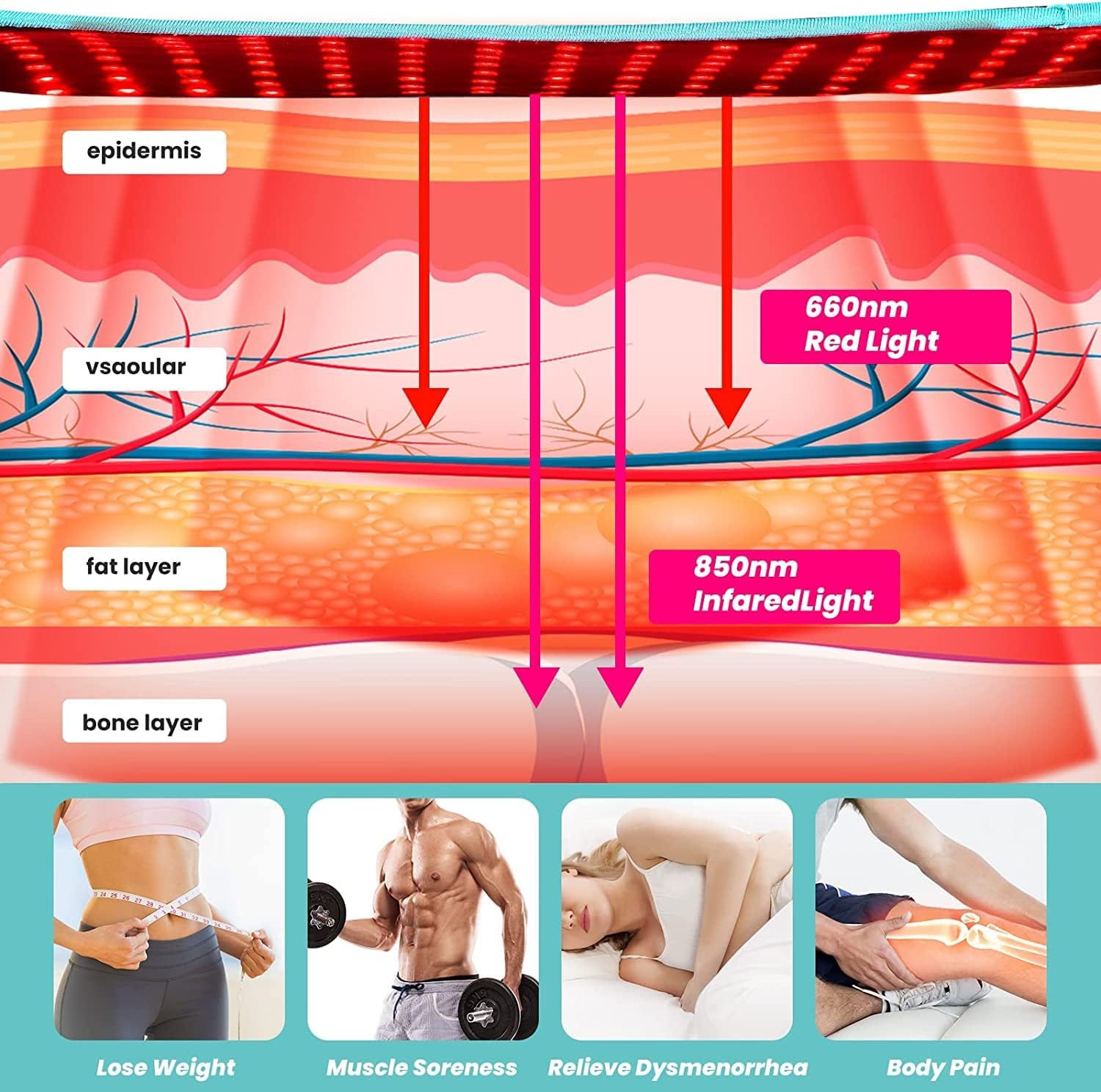 iTHERAU Infrared Red Light Therapy Belt with 660nm & 850nm LEDs for Joint and Muscle Pain Relief