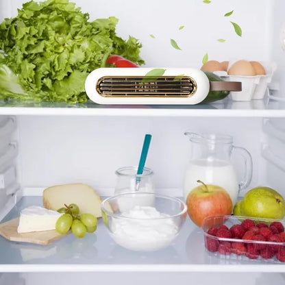 Mini USB Rechargeable Refrigerator Deodorizer – Fresh Odor Eliminator