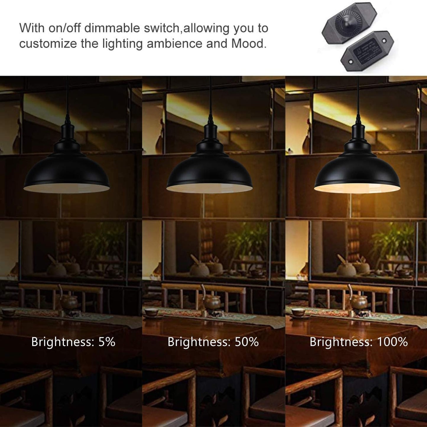 Industrial Vintage 2‑Piece Plug‑In Pendant Light Kit with Dimmer
