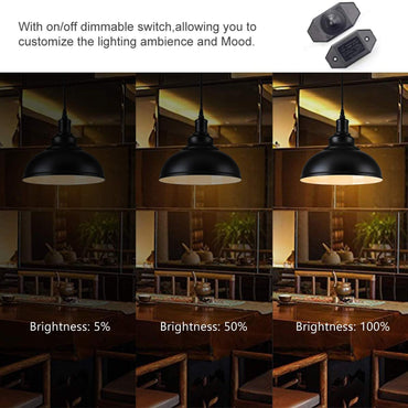 Industrial Vintage 2‑Piece Plug‑In Pendant Light Kit with Dimmer