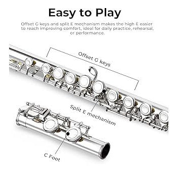 Vangoa 16 Key C Flute Instrument Set for Beginners with Accessories