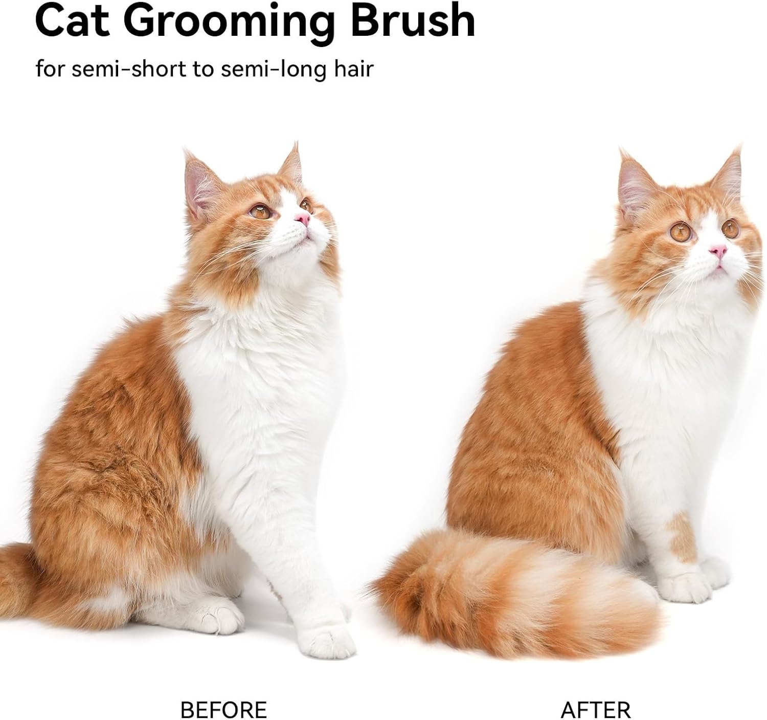 Aumuca Cat Brush for Shedding - Gentle Grooming & Massage Tool