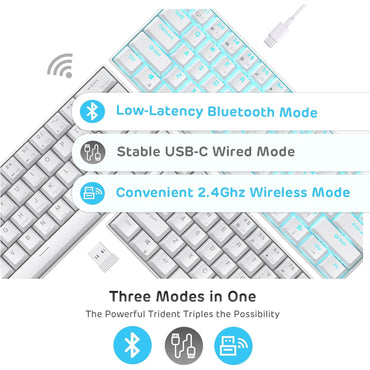 RK61 Wireless 60% Mechanical Gaming Keyboard – Blue Switch – White