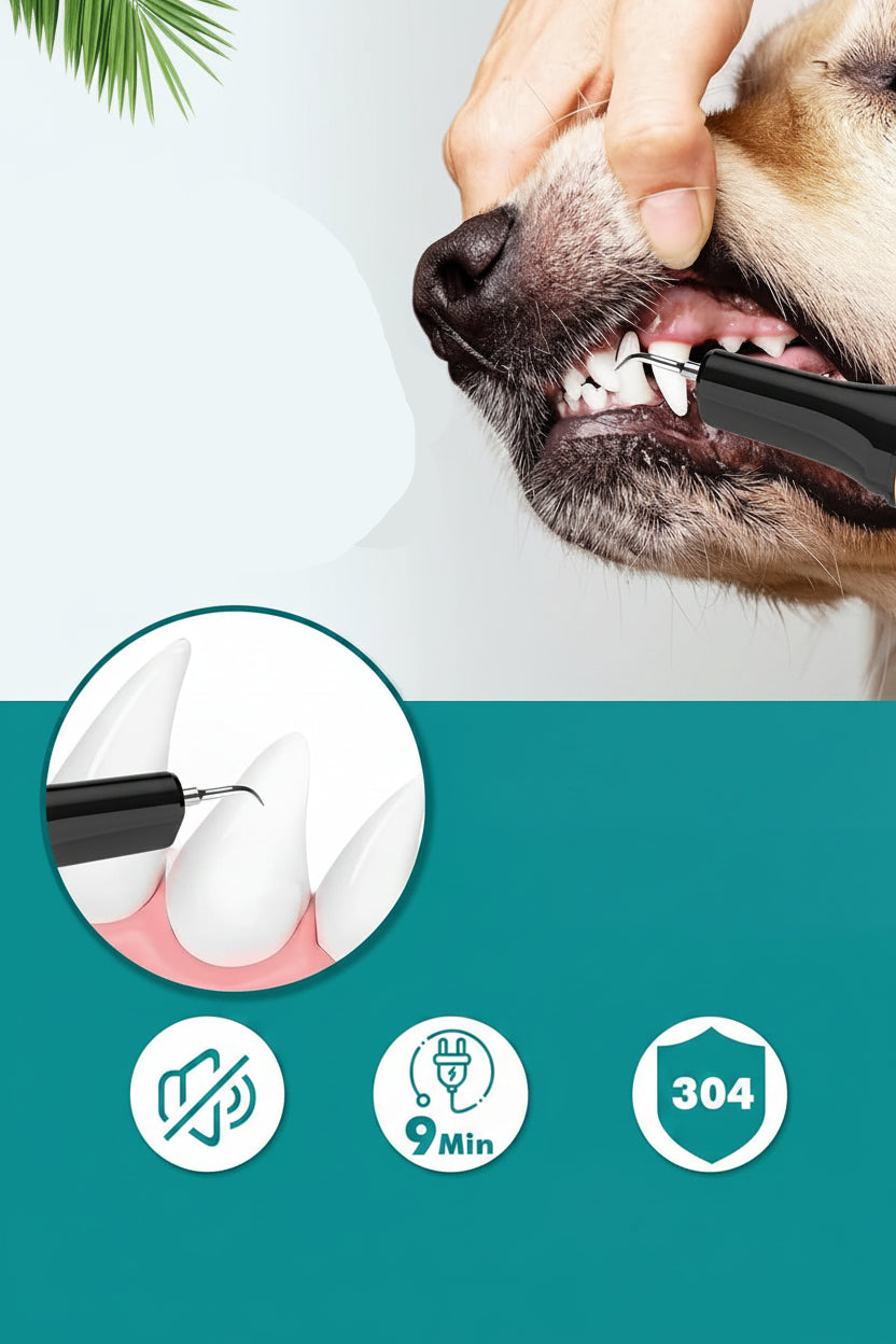 Petbank Ultrasonic Pet Teeth Cleaner for Dogs and Cats 5 Modes 4 Heads