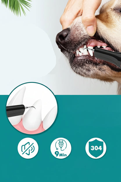 Petbank Ultrasonic Pet Teeth Cleaner for Dogs and Cats 5 Modes 4 Heads
