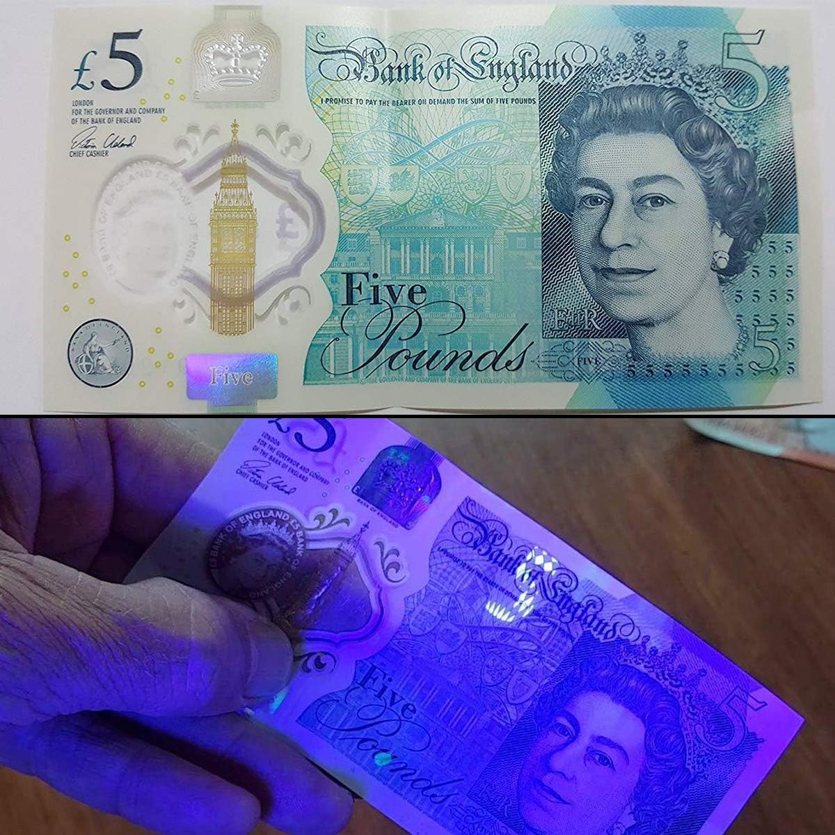 Lepro LE UV Torch 9 LED 395nm Ultraviolet Flashlight Blacklight Detector for Pet Urine Stain Bed Bugs